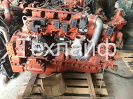   YC6MK375N-50   65116, DongFeng, Yutong, Golden Dragon (  -)